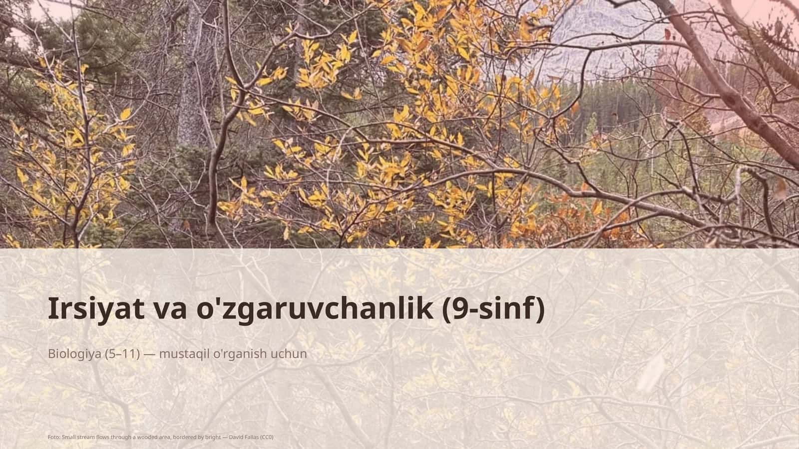 Irsiyat va o'zgaruvchanlik (9-sinf) Biologiya (5-11)