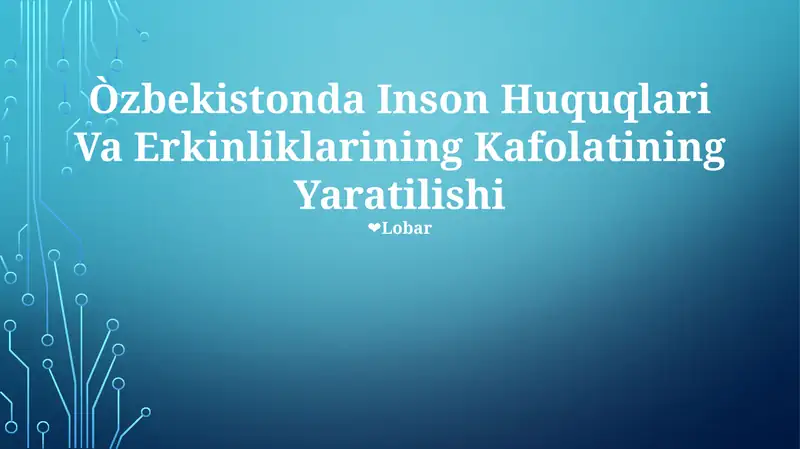 Inson Huquqlari Va Erkinliklarining Kafolatining Yaratilishi