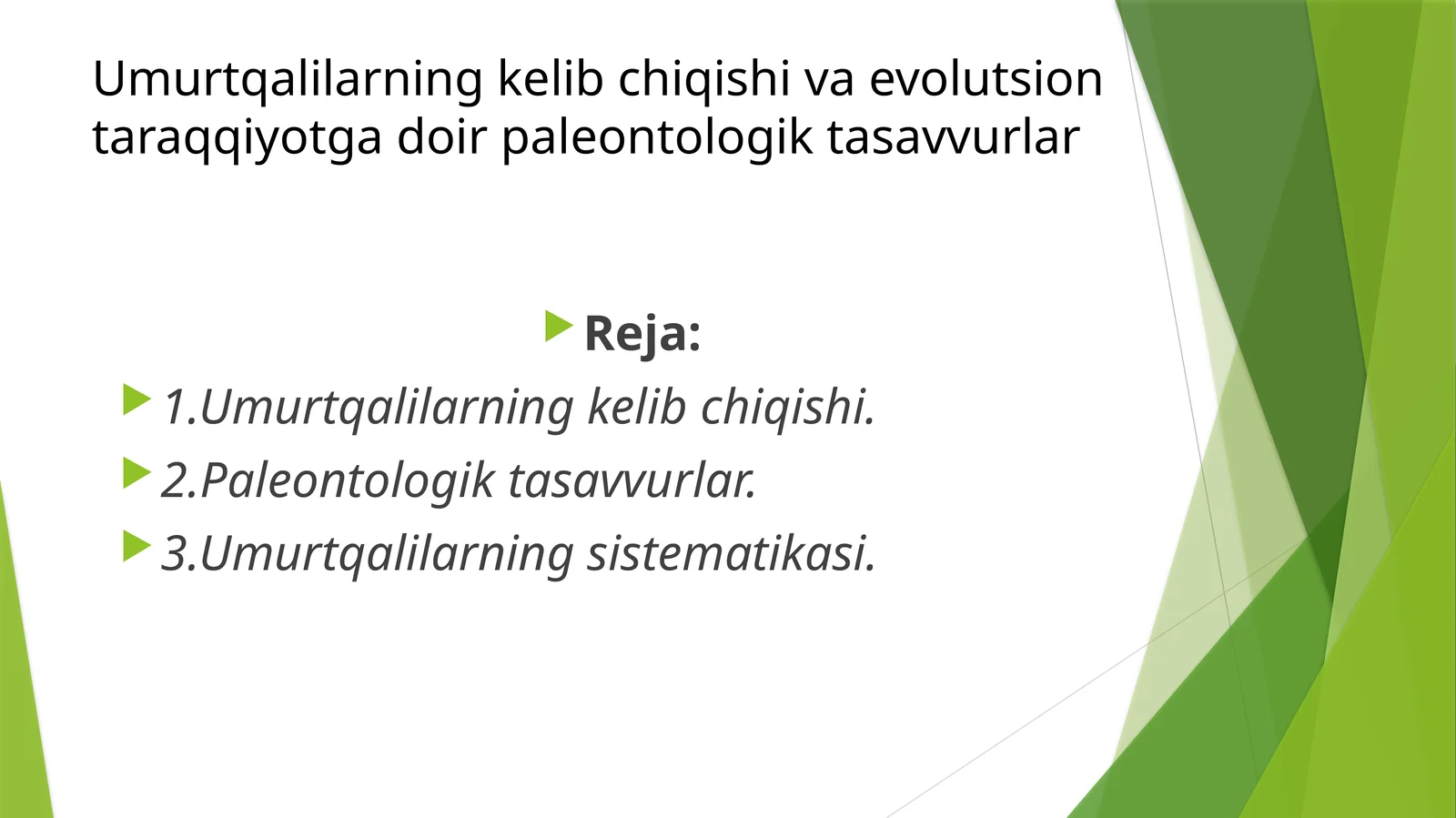 Umurtqalilarning kelib chiqishi