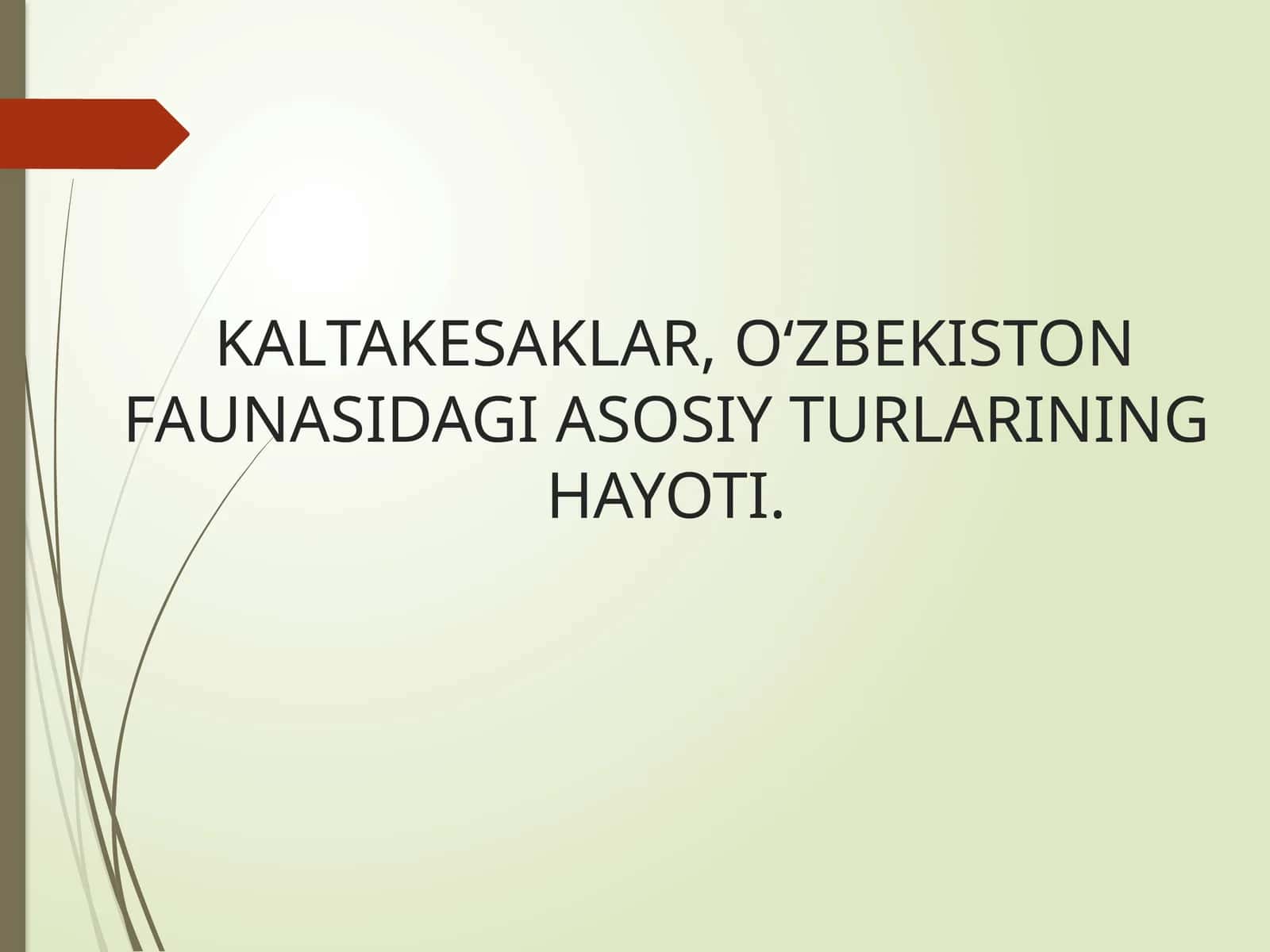 KALTAKESAKLAR,OʻZBEKISTON FAUNASIDAGI ASOSIY TURLARINING HAYOTI