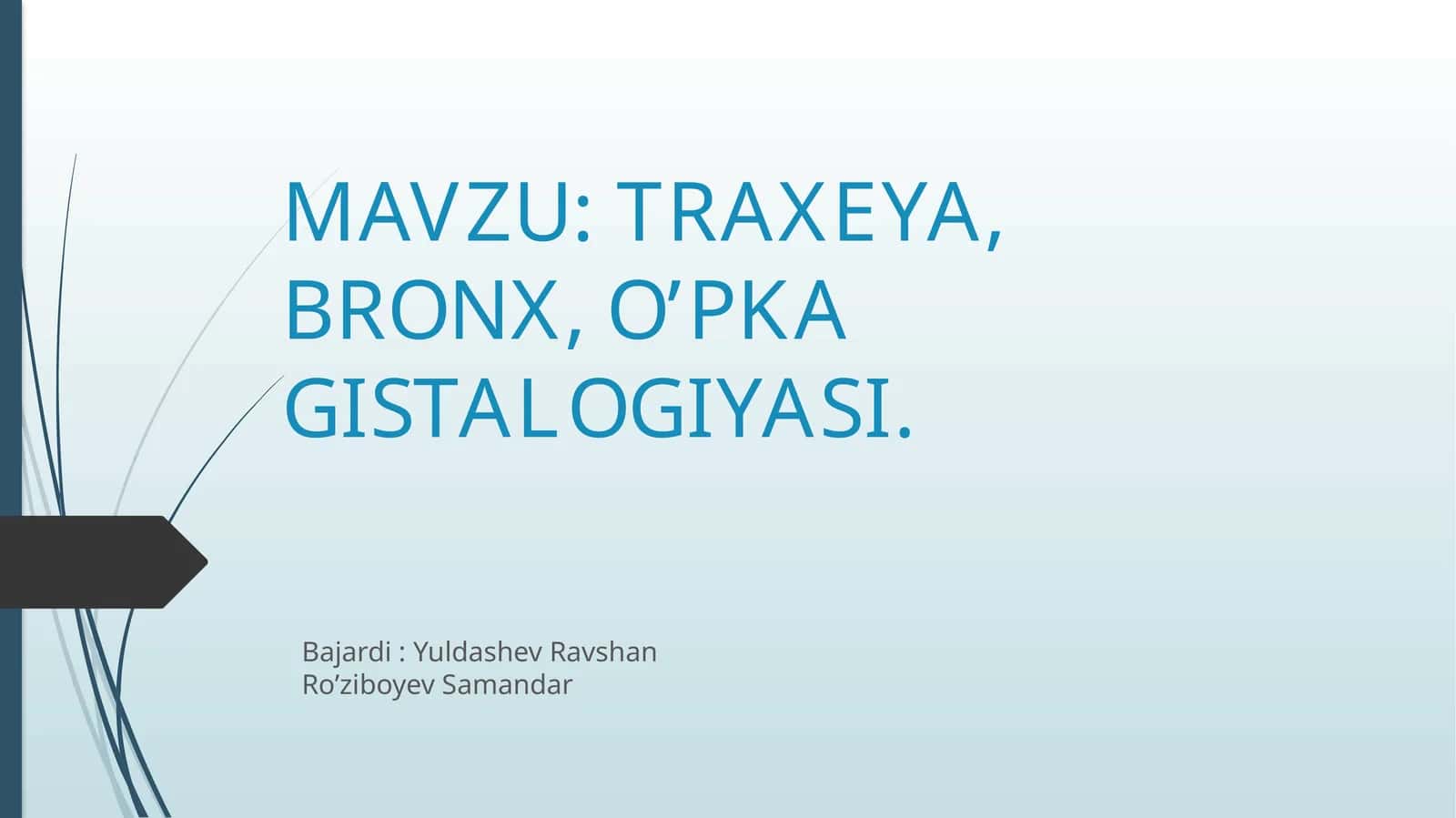 TRAXEYA, BRONX, O’PKA GISTALOGIYASI+ANATOMIYASI