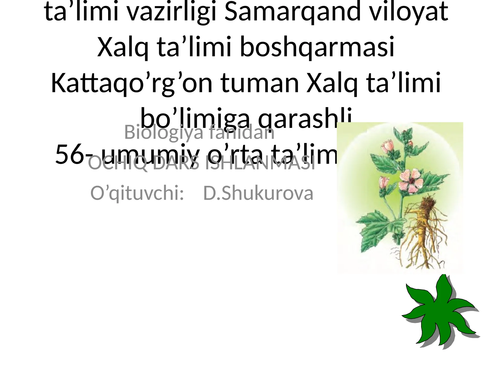 GULLARNING XILMA XILLIGI