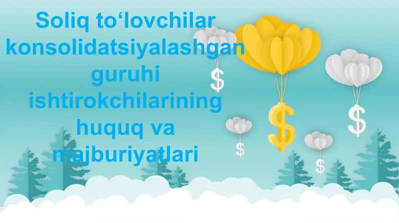 Soliq to‘lovchilar konsolidatsiyalashgan guruhi ishtirokchilarining huquq va majburiyatlari