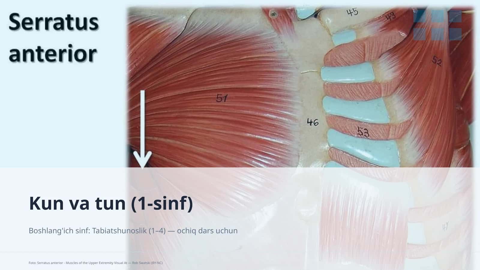 Kun va tun (1-sinf)