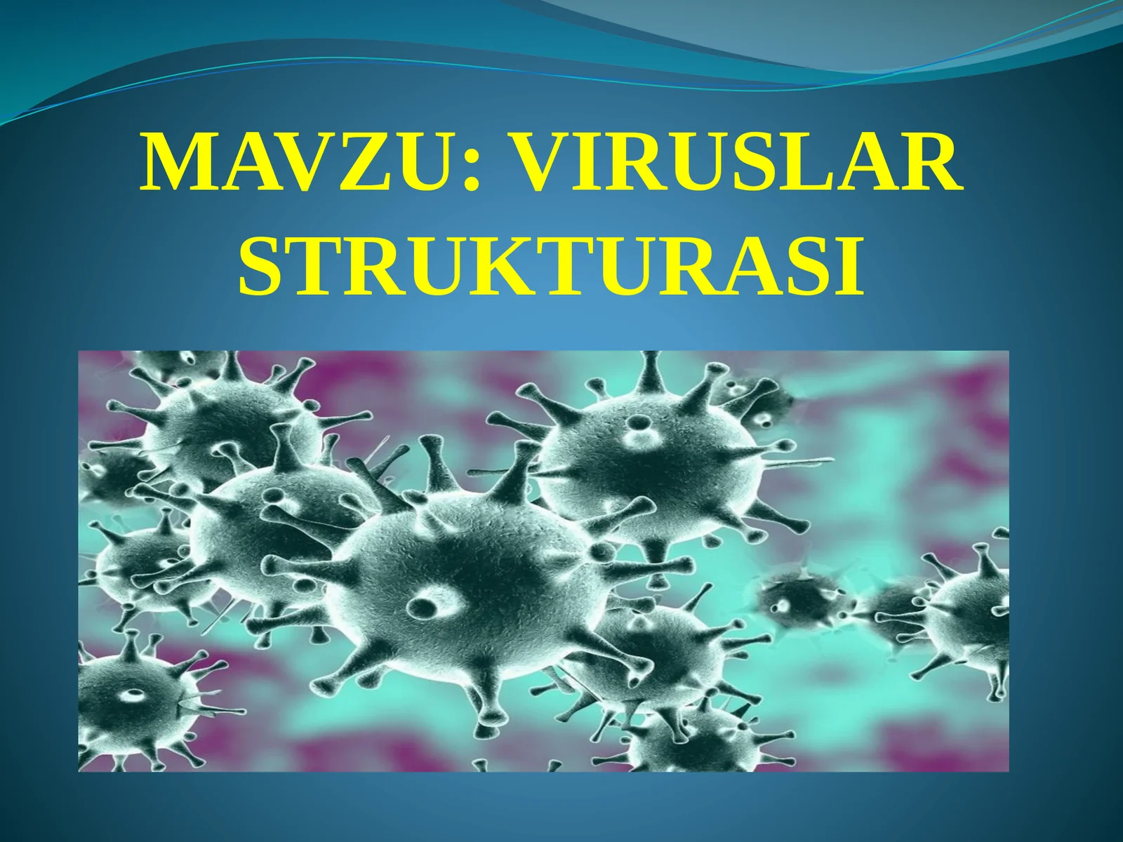 VIRUSLAR STRUKTURASI