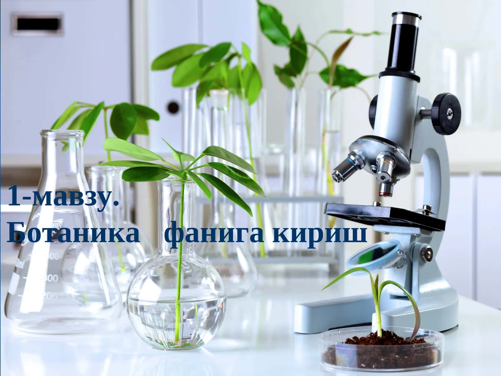 Ботаника фанига кириш