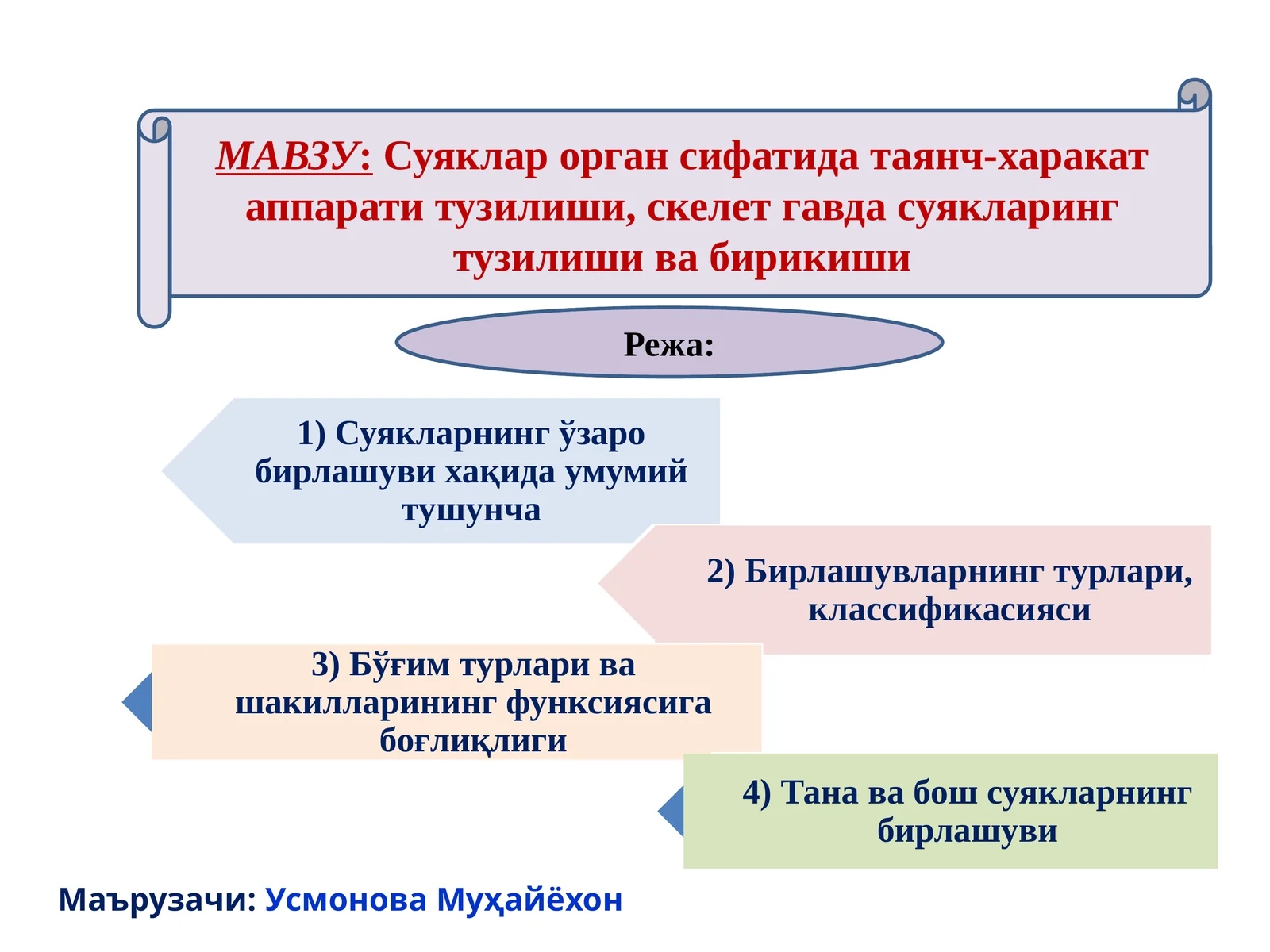Суяклар орган сифатида таянч-харакат аппарати тузилиши, скелет гавда суякларинг тузилиши ва бирикиши