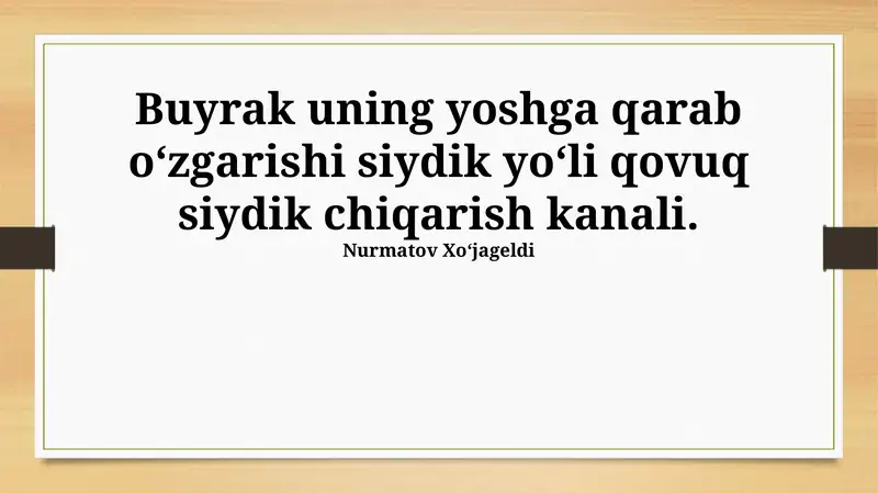 Siydik pufagi