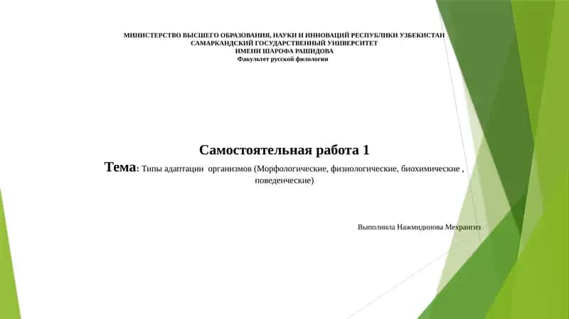 Самостоятельная работа 1