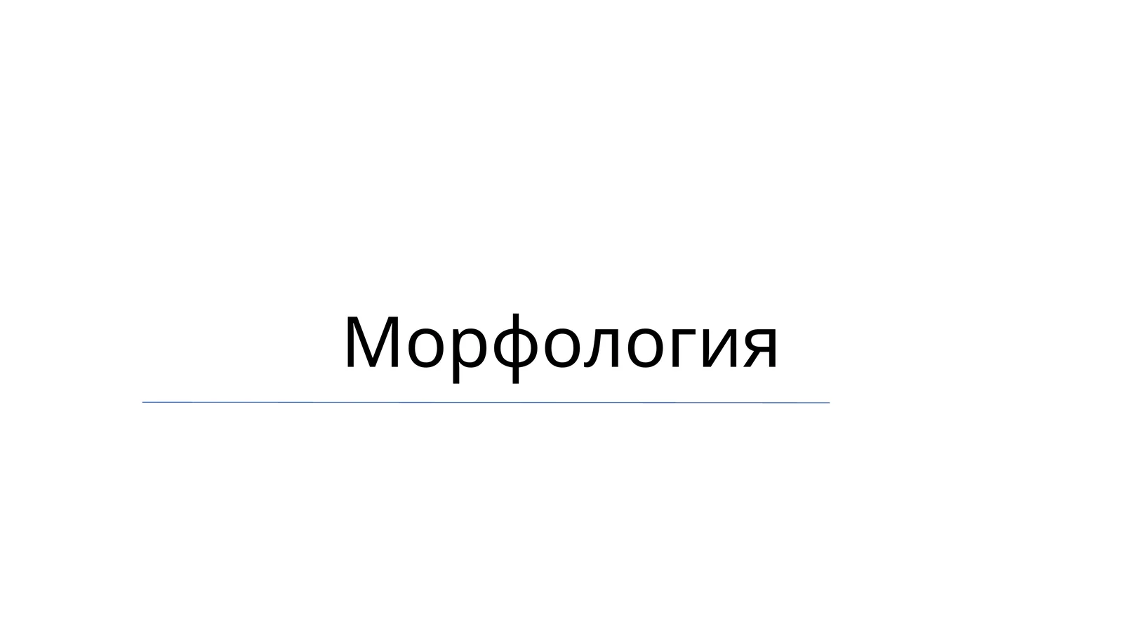 Морфология
