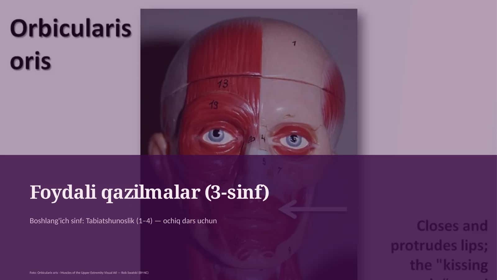 Foydali qazilmalar (3-sinf)