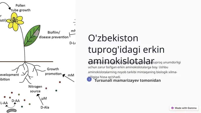 O'zbekiston tuprog'idagi erkin aminokislotalar