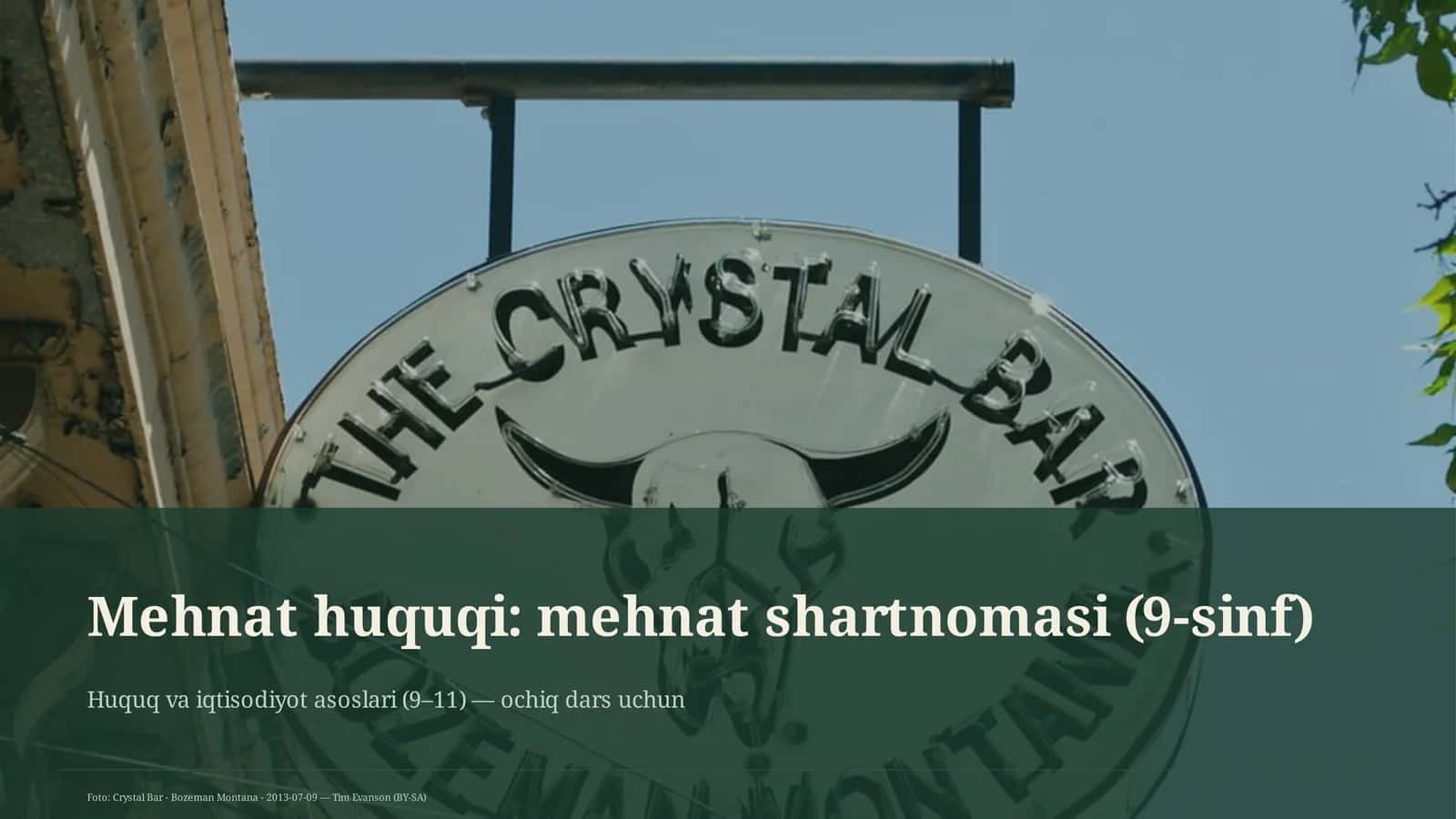 Mehnat huquqi: mehnat shartnomasi (9-sinf)