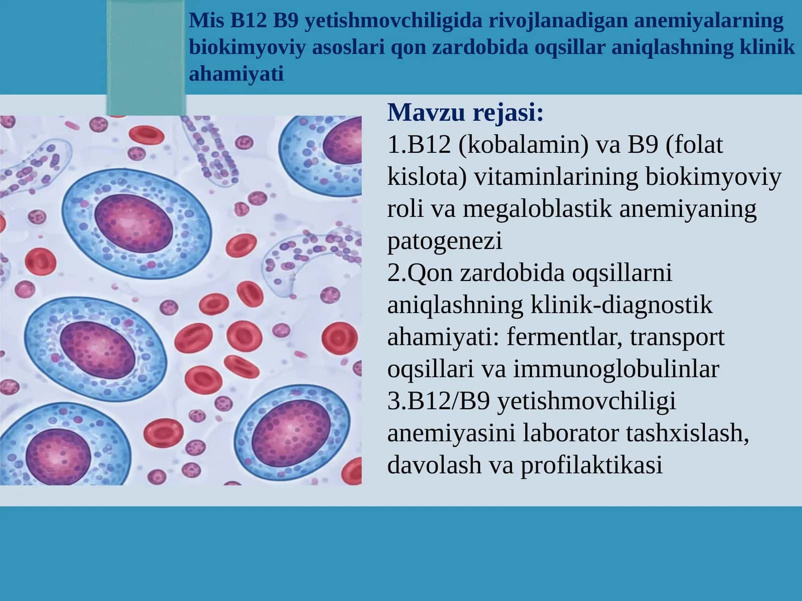 Mis B12 B9 yetishmovchiligida rivojlanadigan anemiyalarning biokimyoviy asoslari qon zardobida oqsillar aniqlashning klinik ahamiyati prezentatsiya