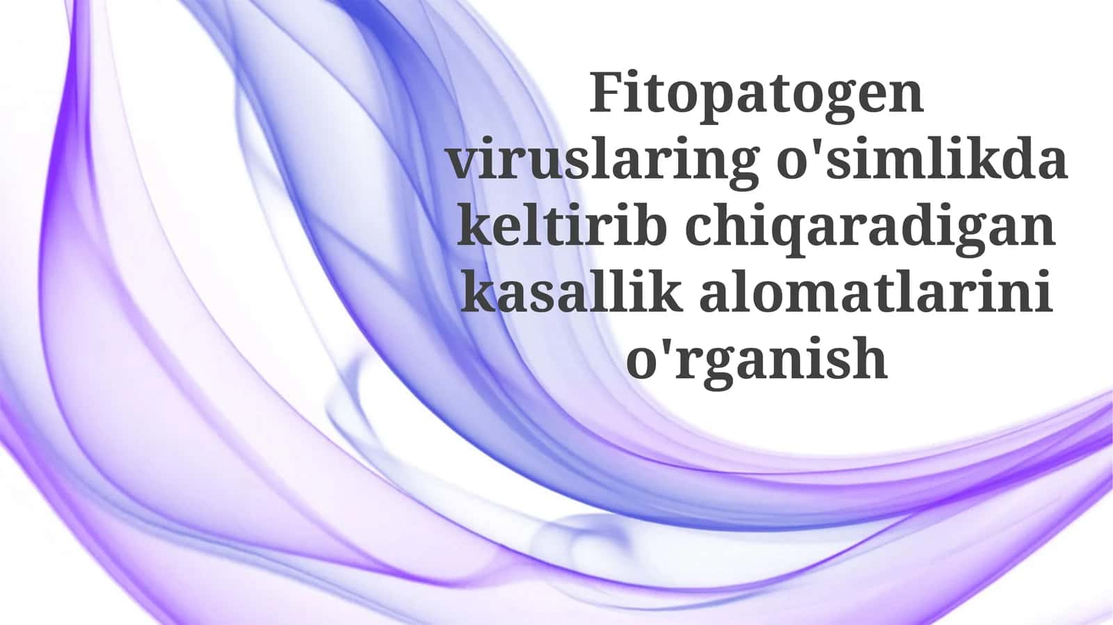 Fitopatogenviruslaringo'simlikdakeltiribchiqaradigankasallikalomatlarinio'rganish