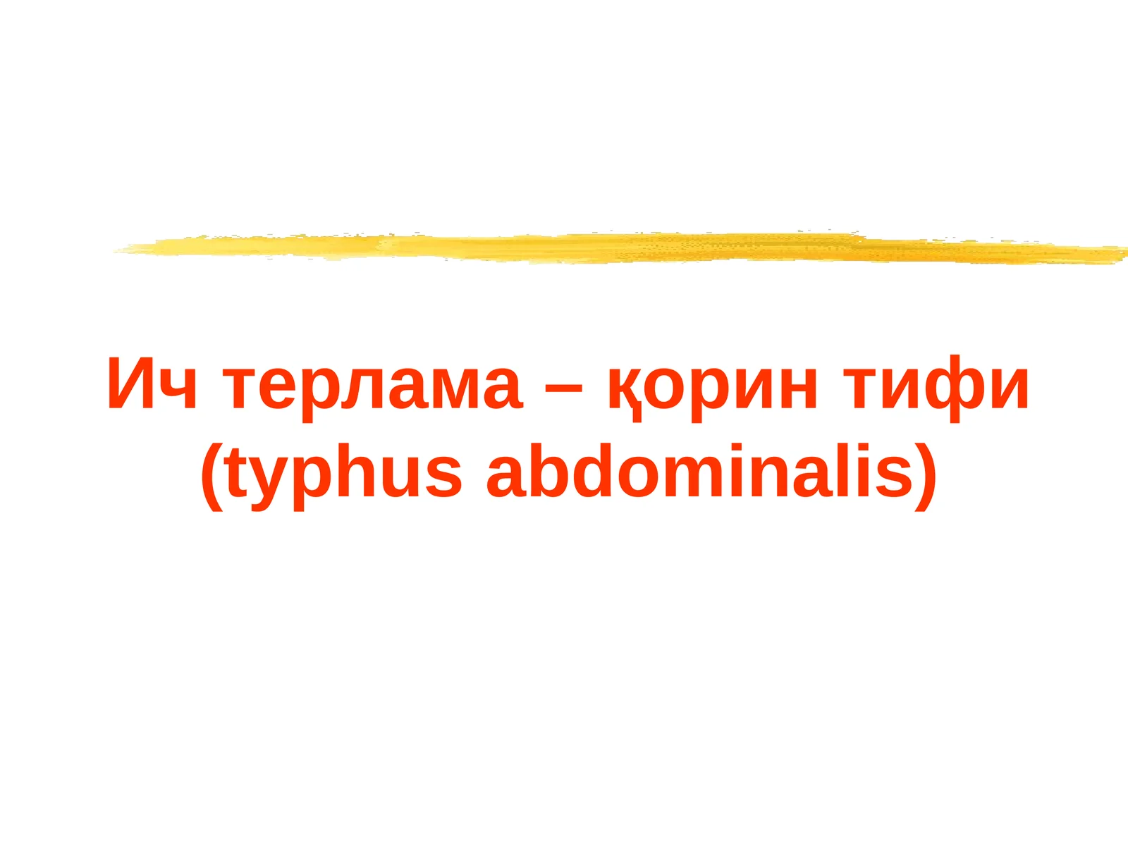 Ичтерлама–қорин тифи (typhus abdominalis)