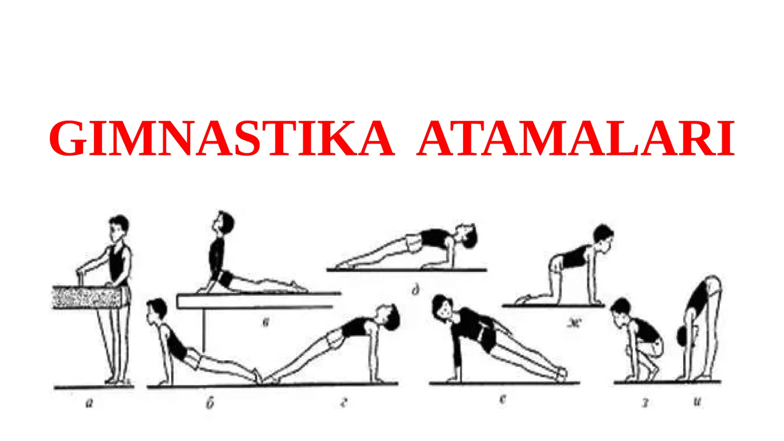 GIMNASTIKA ATAMALARI