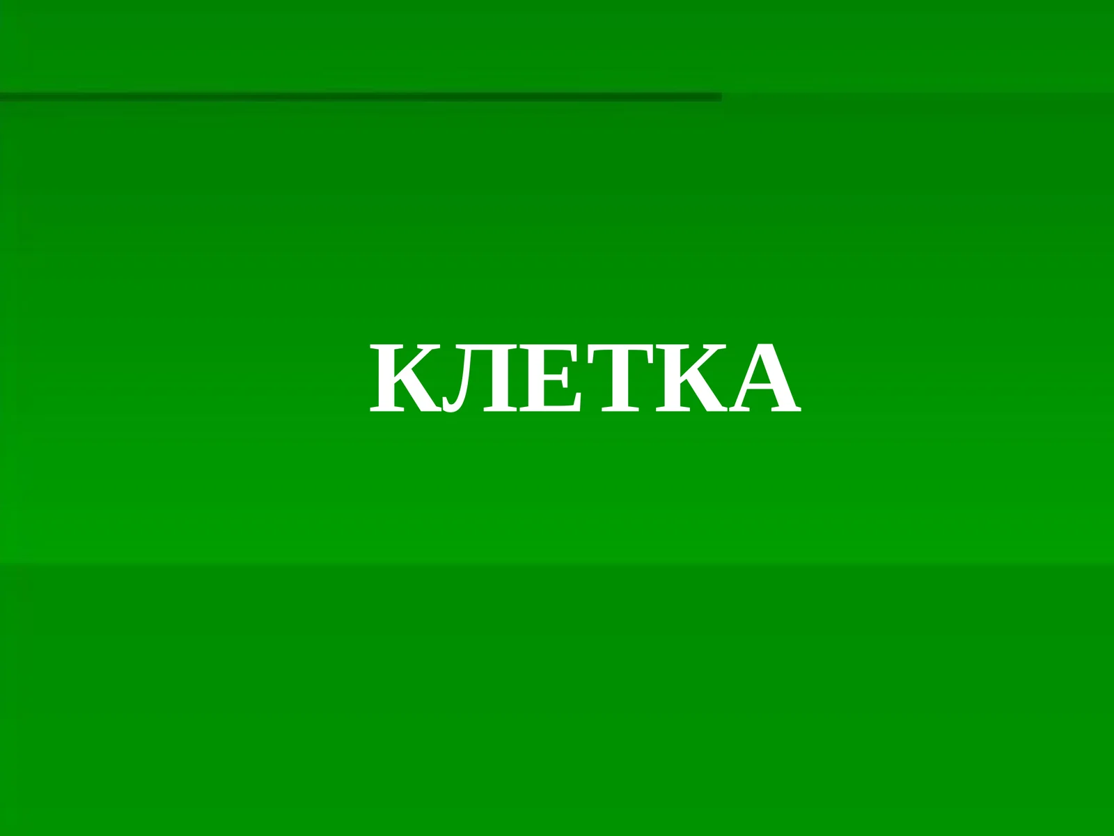 КЛЕТКА