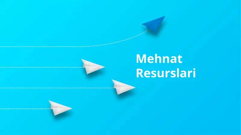 Mehnat Resurslari