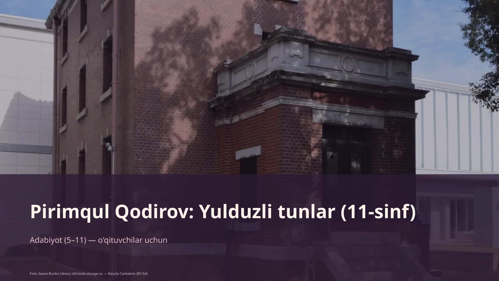Yulduzli tunlar (11-sinf)