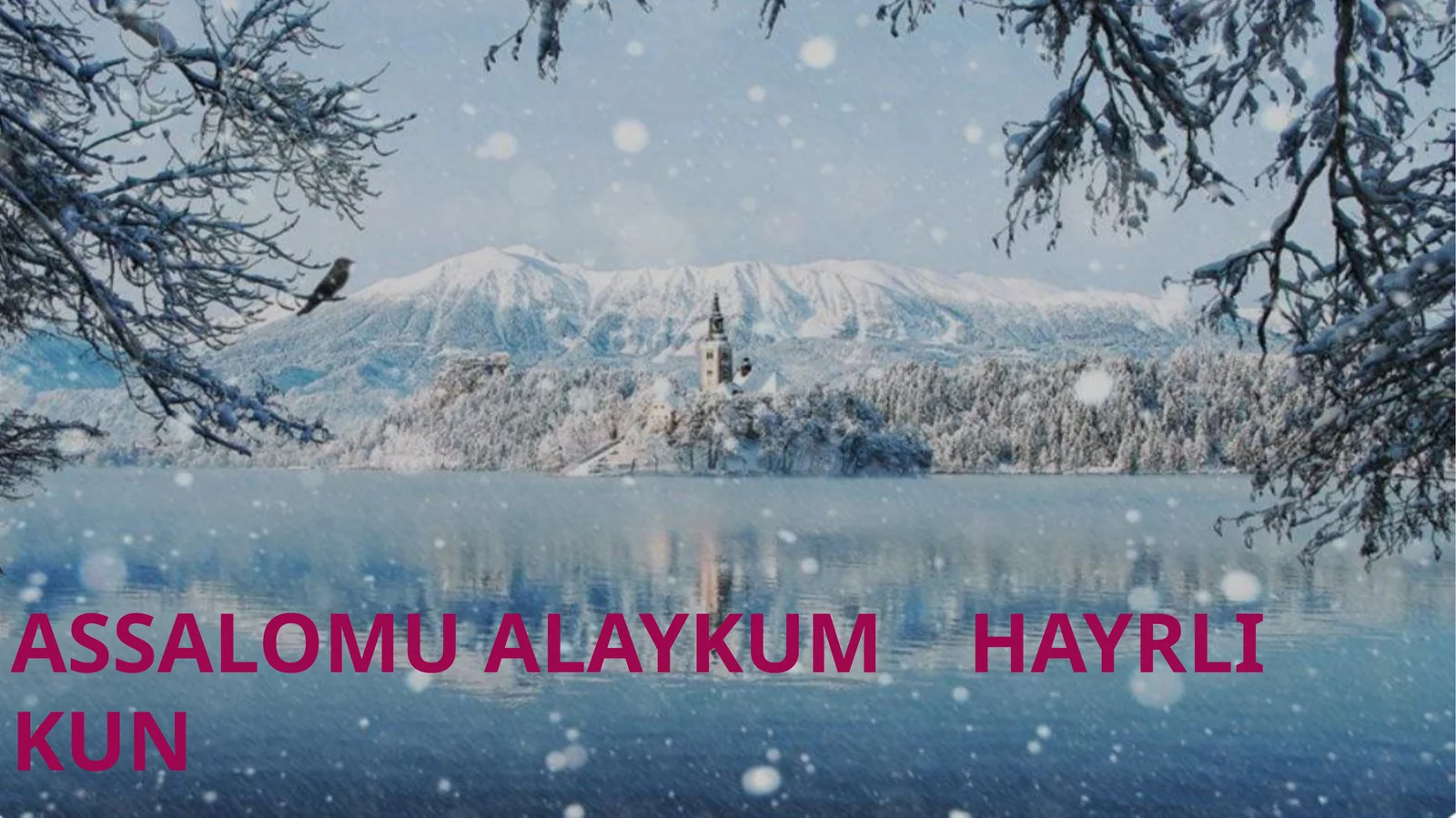 Xarakter haqida tushuncha