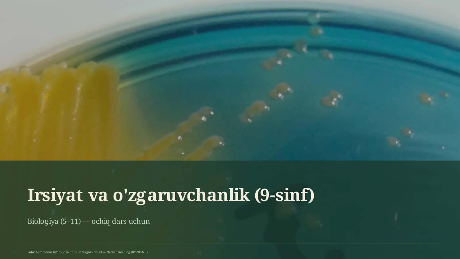 Irsiyat va o'zgaruvchanlik (9-sinf)