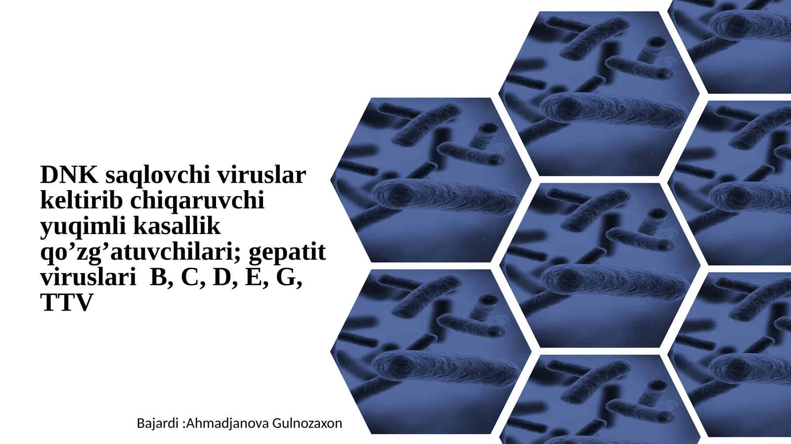 DNK saqlovchi viruslar keltirib chiqaruvchi yuqimli kasallik qo’zg’atuvchilari; gepatit viruslari B, C, D, E, G, TTV