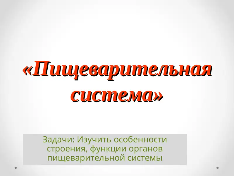 "Пищеварительная система"