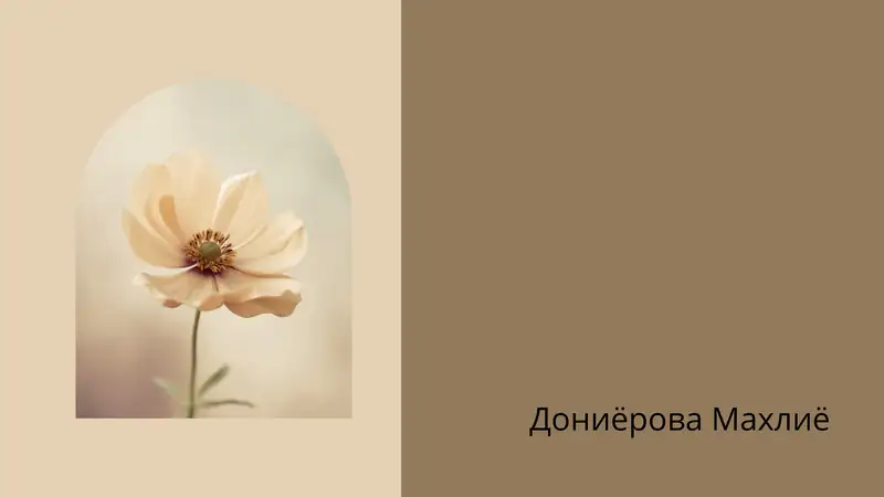 зарубежные литература