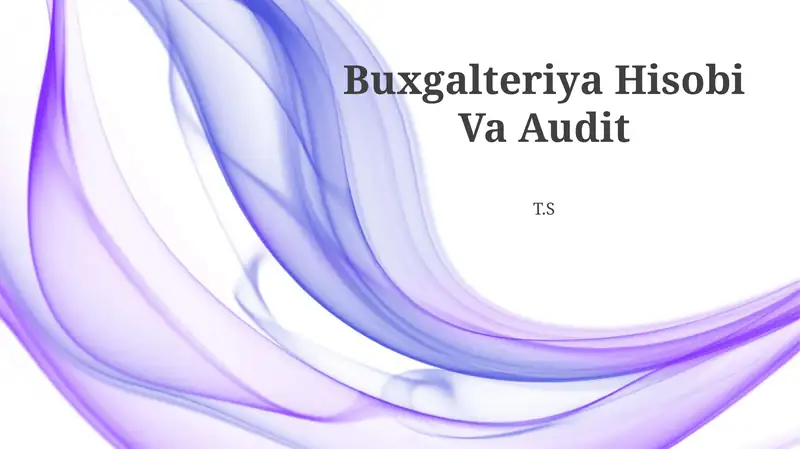 Buxgalteriya Hisobi Va Audit