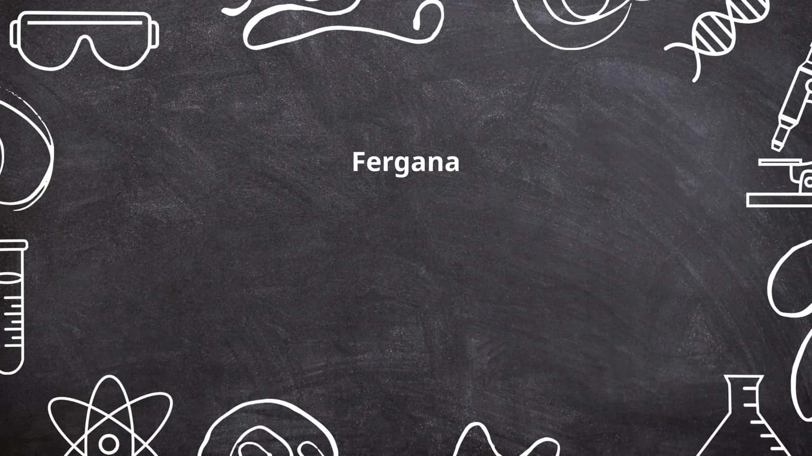 Fergana History
