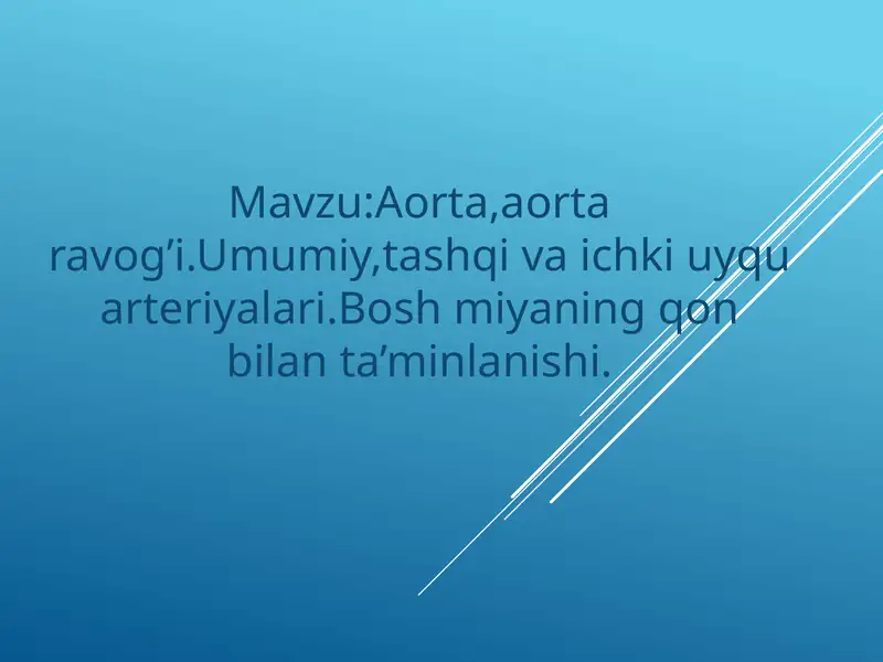 Aorta va aorta ravogi