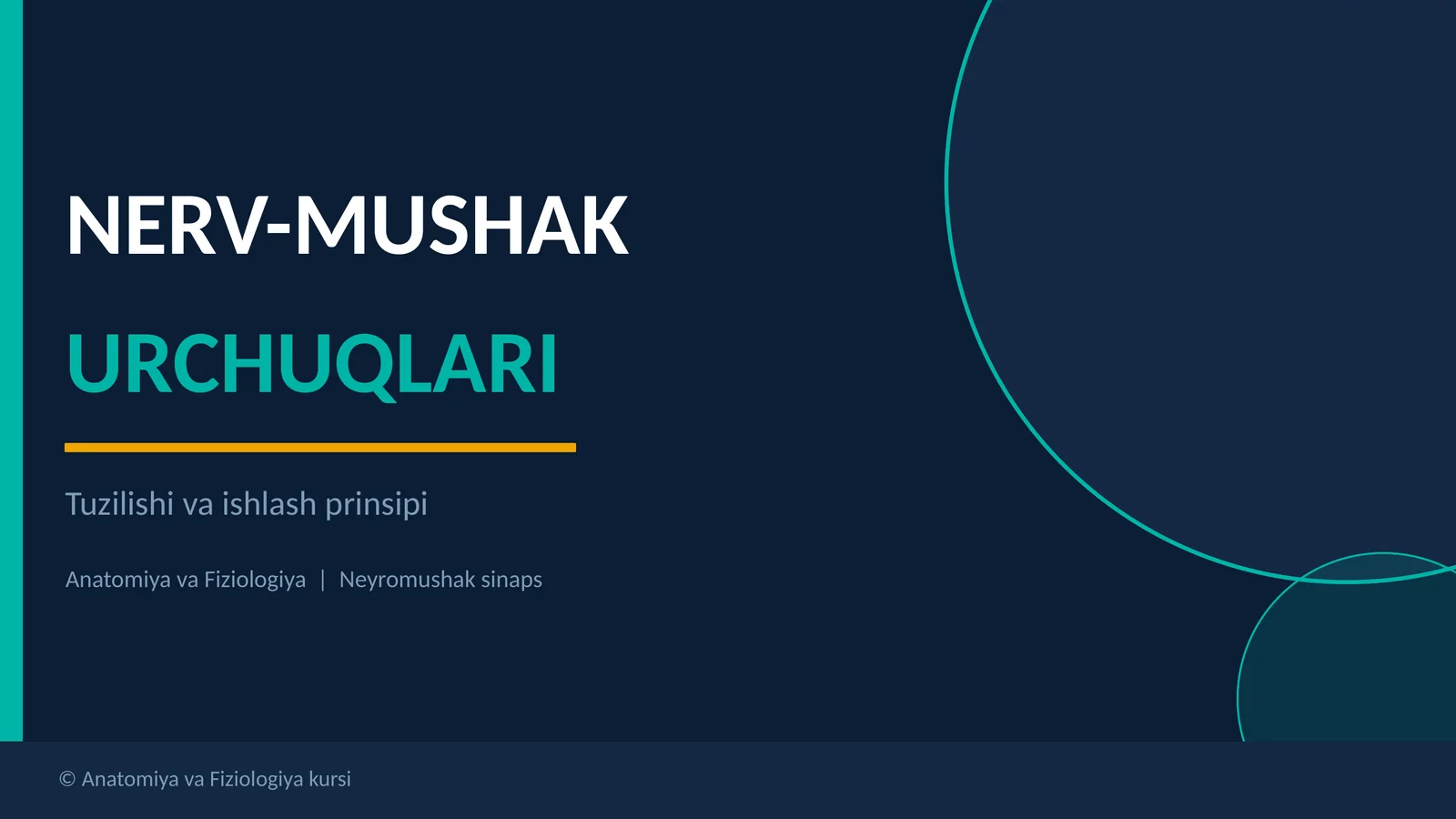 NERV-MUSHAK URCHUQLARI
