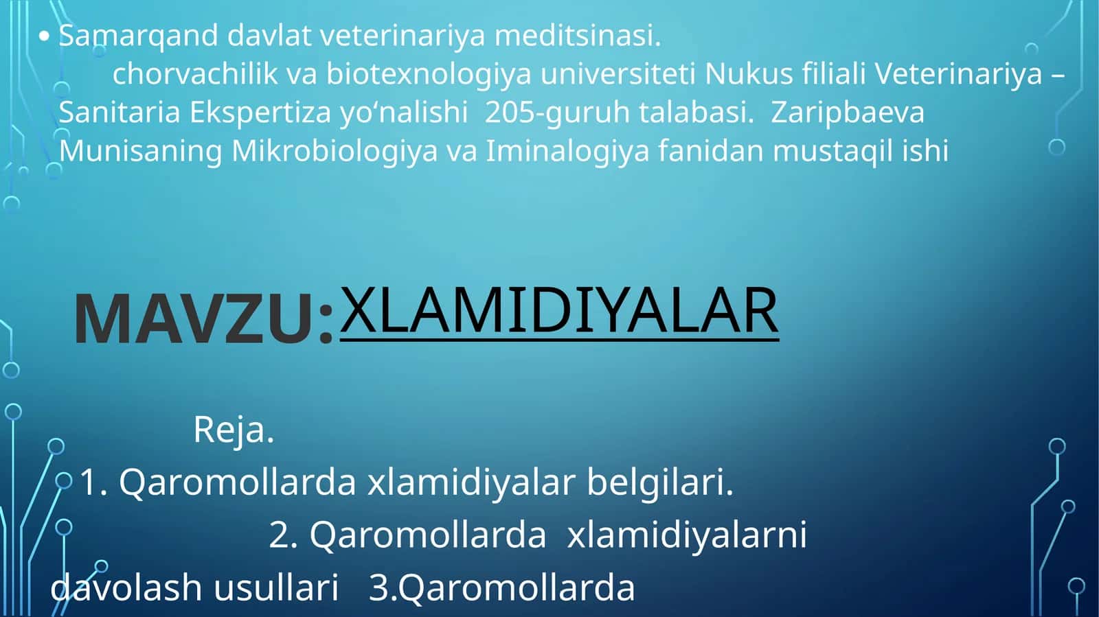 Qoramoldagi xlamidiya