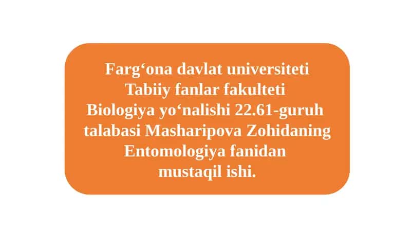 Entomologiya fanidan mustaqil ishi