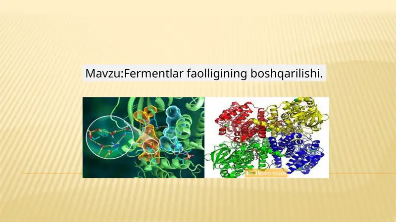 Fermentlar, ularning faolligining boshqarilishi.