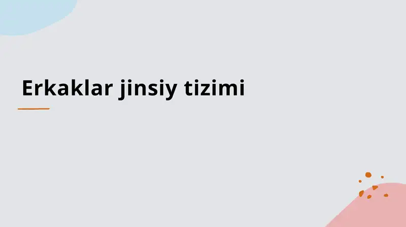 Erkaklar jinsiy tizimi