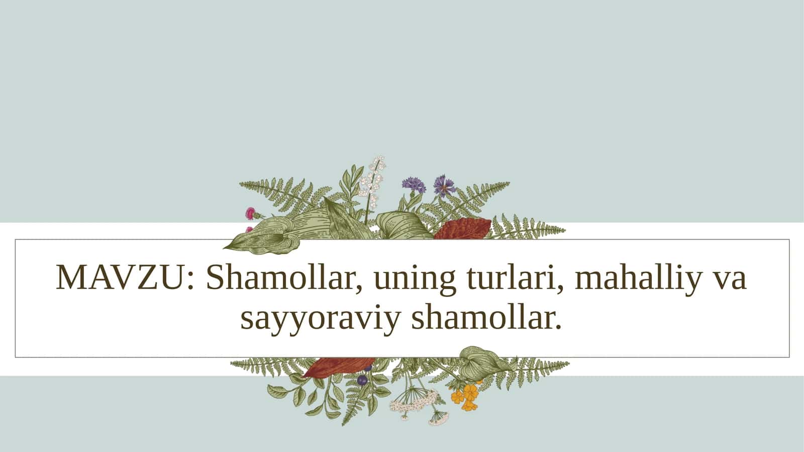 Shamollar, uning turlari, mahalliy va sayyoraviy shamollar
