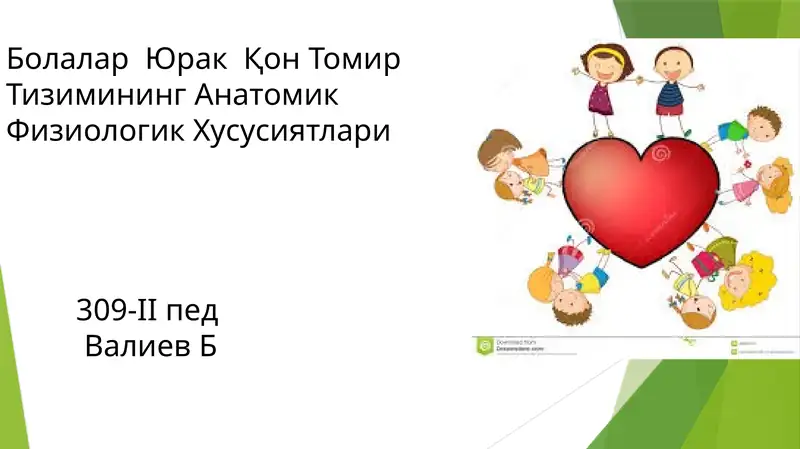 Болалар Юрак Қон Томир Тизимининг Анатомик Физиологик Хусусиятлари