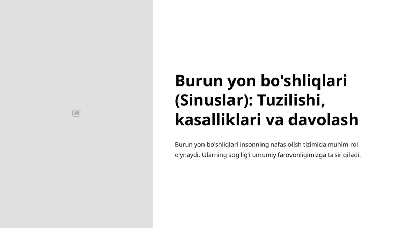 Burun yon bo'shliqlari (Sinuslar): Tuzilishi, kasalliklari va davolash
