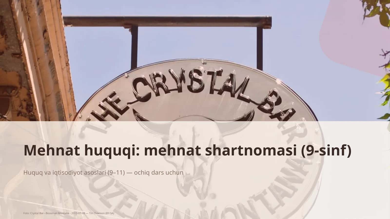 Mehnat huquqi: mehnat shartnomasi (9-sinf)