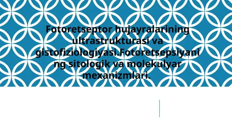 Fotoretseptorlar