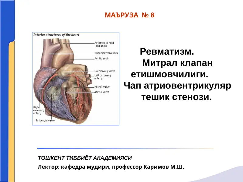 Ревматизм