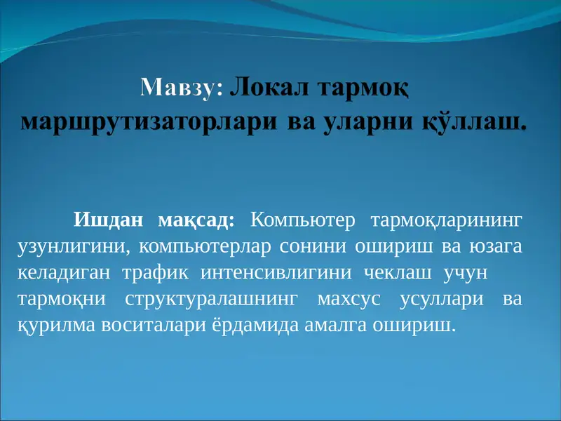 Локал тармоқ маршрутизаторлари ва уларни қўллаш.