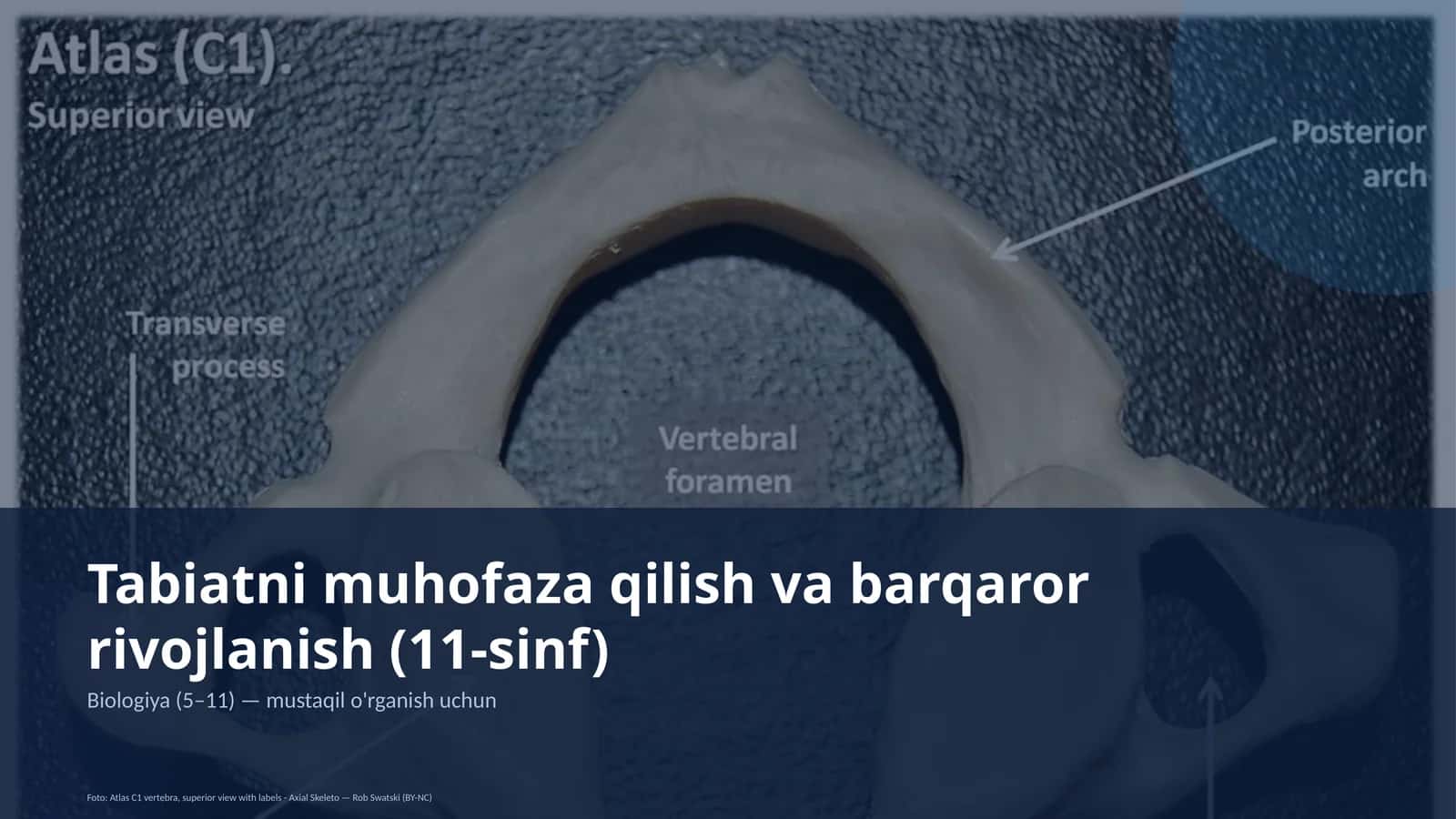 Tabiatni muhofaza qilish va barqaror rivojlanish (11-sinf)