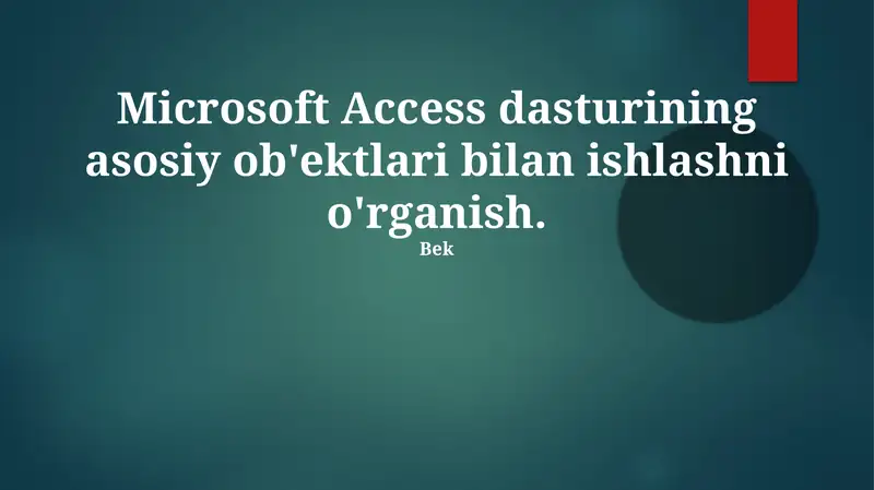 Microsoft Access dasturi