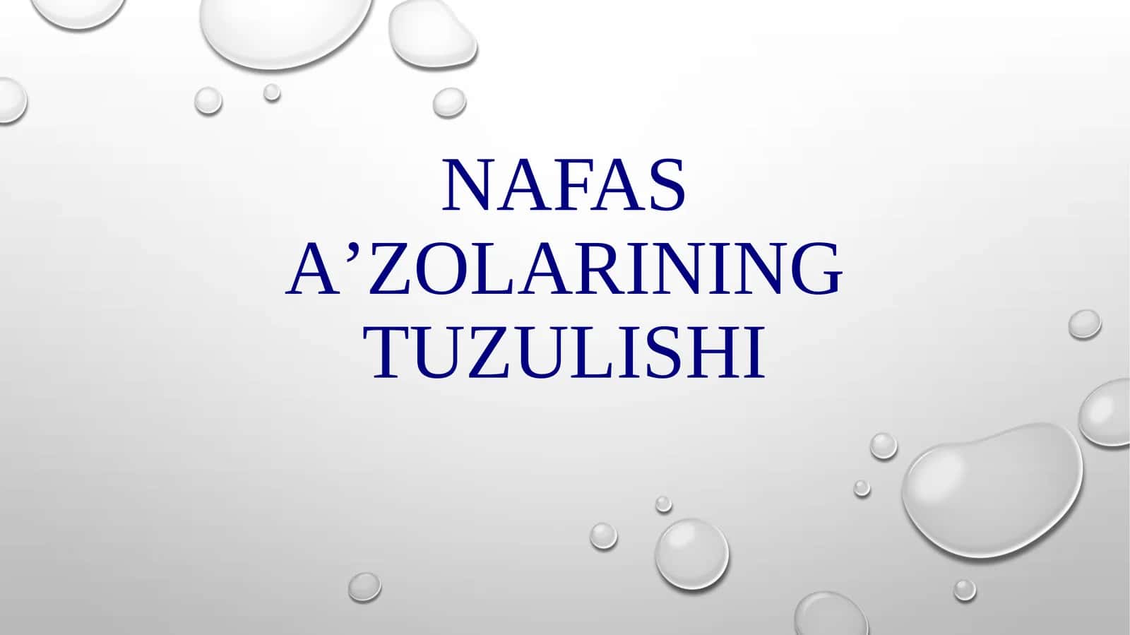 Nafas aʼzolarining tuzilishi