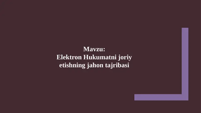 Elektron Hukumatni joriy etishning jahon tajribasi