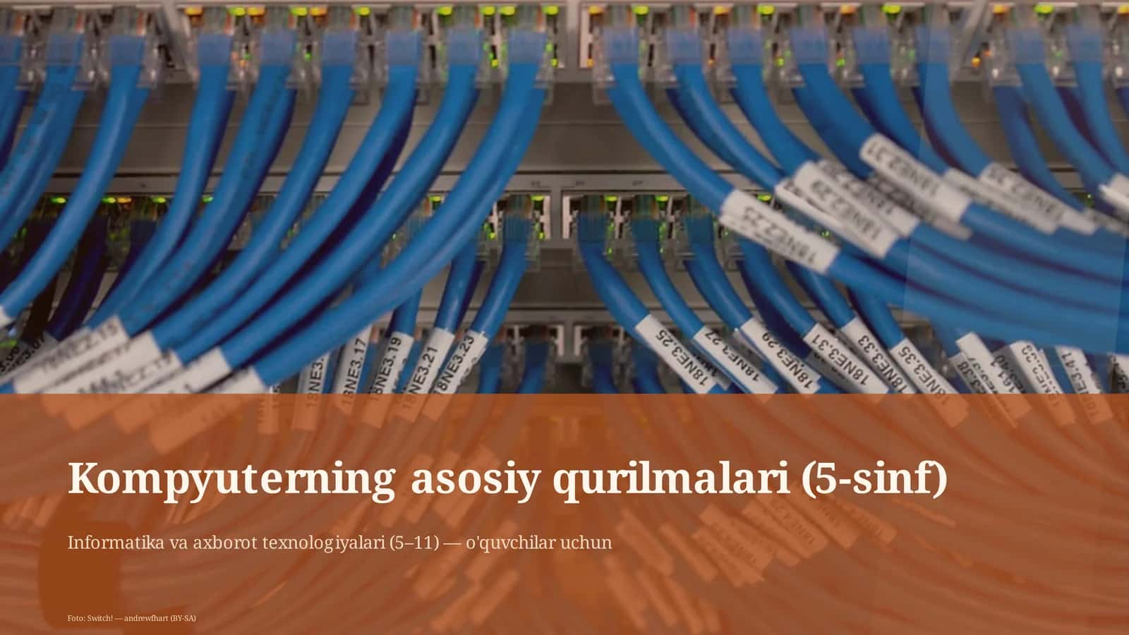 Kompyuterning asosiy qurilmalari (5-sinf)