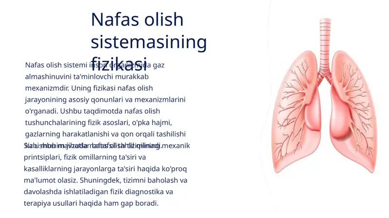 Nafas olish sistemasining fizikasi